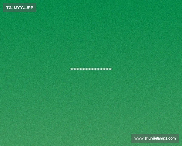 美国十五五式长期规划:展现美国应有的战略远见与全球竞争力 美国十五五式长期规划:展现美国应有的战略远见与全球竞争力